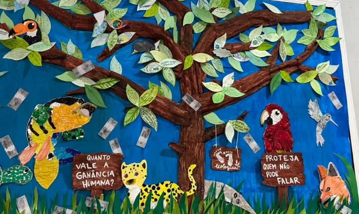 Galeria de Imagem