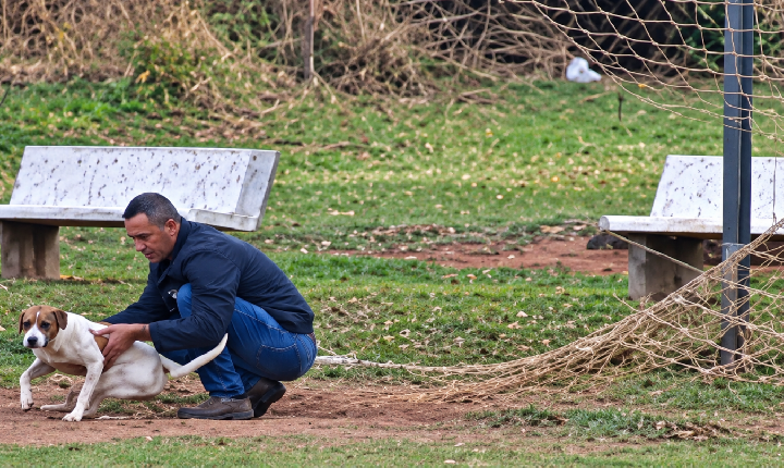 Cãozinho é salvo por servidor após ficar enroscado em rede de campinho de futebol em Castilho (SP)