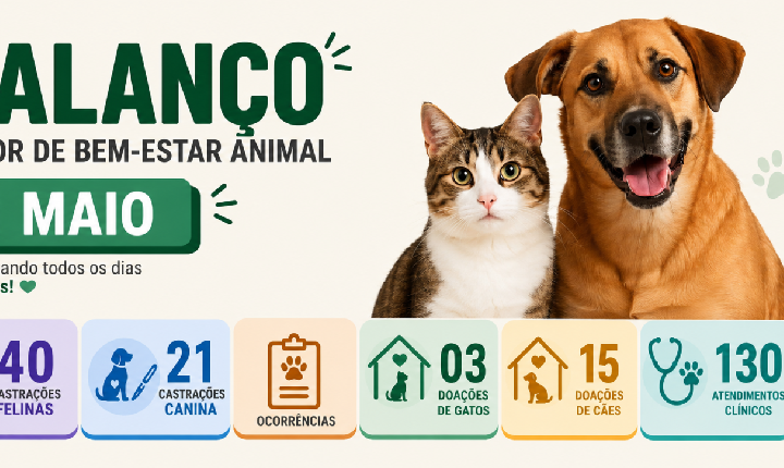 Castilho registra número expressivo de adoções e atendimentos no balanço do Bem-Estar Animal de maio
