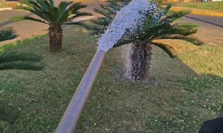 Galeria de Imagem