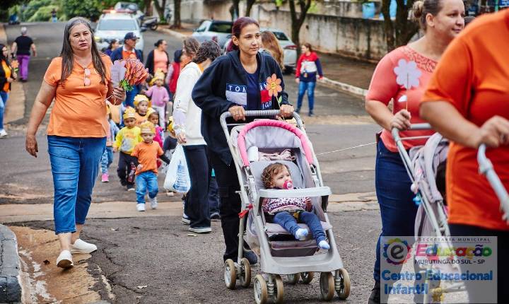 Galeria de Imagem
