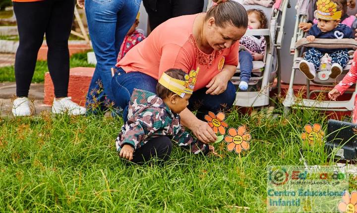 Galeria de Imagem
