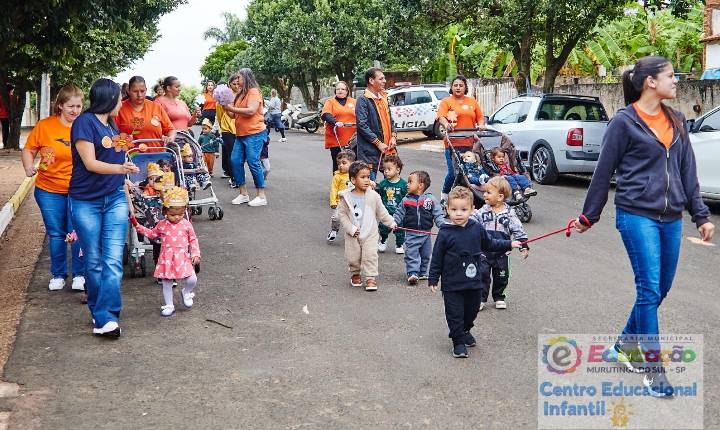 Galeria de Imagem