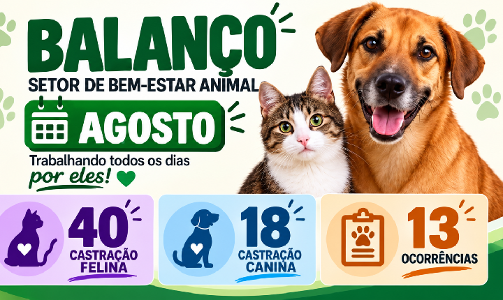 Crescimento expressivo em atendimentos marca o Balanço de Agosto das atividades do Bem-Estar Animal em Castilho (SP)