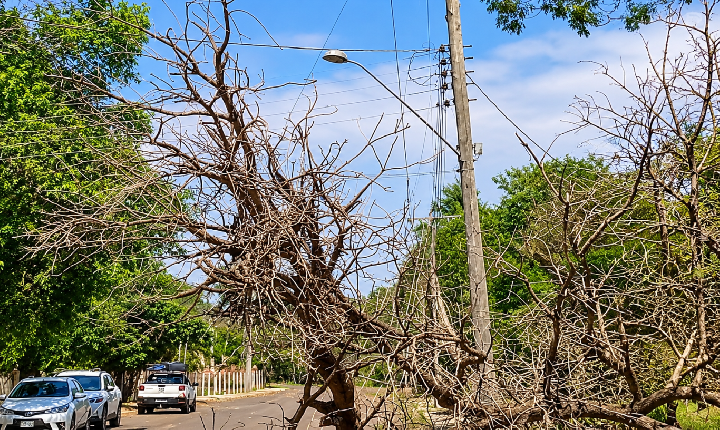 Energia e água são restabelecidas no bairro Iate Urubupungá após vendaval