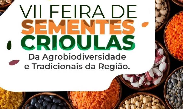 Feira de Sementes Crioulas ganha edição inédita em Castilho (SP) no próximo sábado (29)