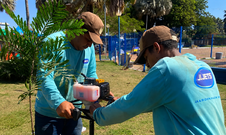 Novas mudas são plantadas na Praça da Matriz para ampliar áreas de sombra e preservar o meio ambiente em Castilho (SP)