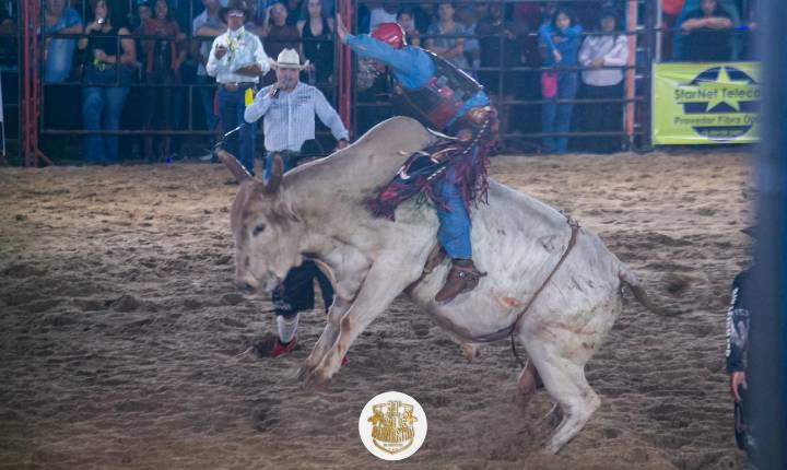 Galeria de Imagem