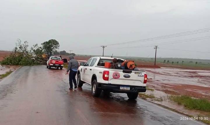 Queda de árvores mobilizaram Brigada, Defesa Civil, Neoenergia e Secretaria de Obras durante temporal em Castilho (SP)
