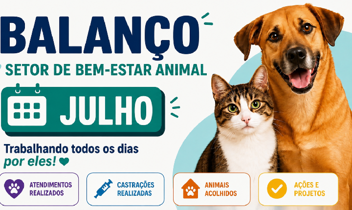 Secretaria de Meio Ambiente divulga balanço do Bem-Estar Animal de julho com 18 adoções em Castilho (SP)