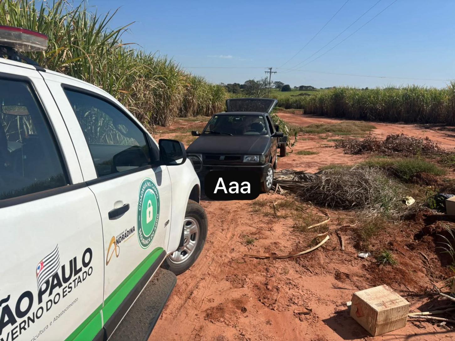 Andradina instala câmeras e flagra descarte irregular de lixo