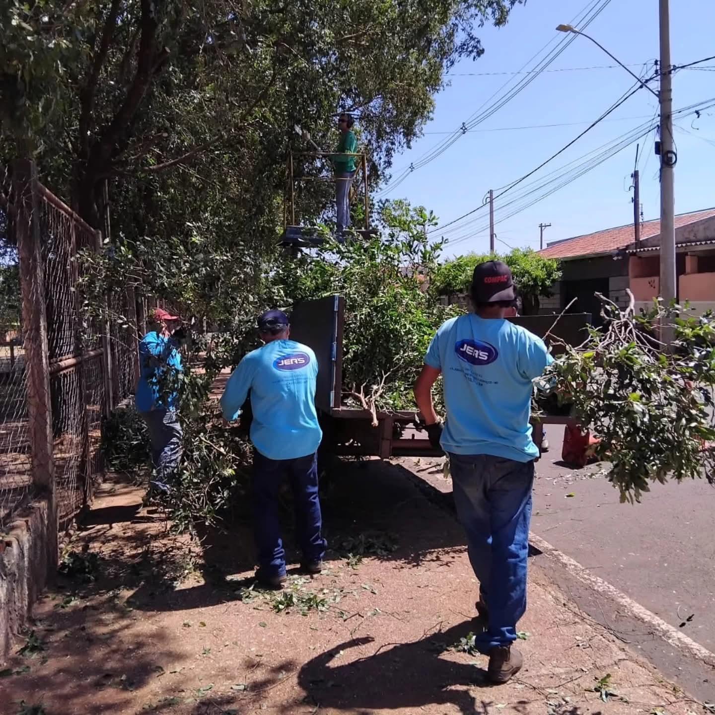 Equipe de jardinagem de Castilho (SP) realiza podas nas árvores dos espaços públicos do município 