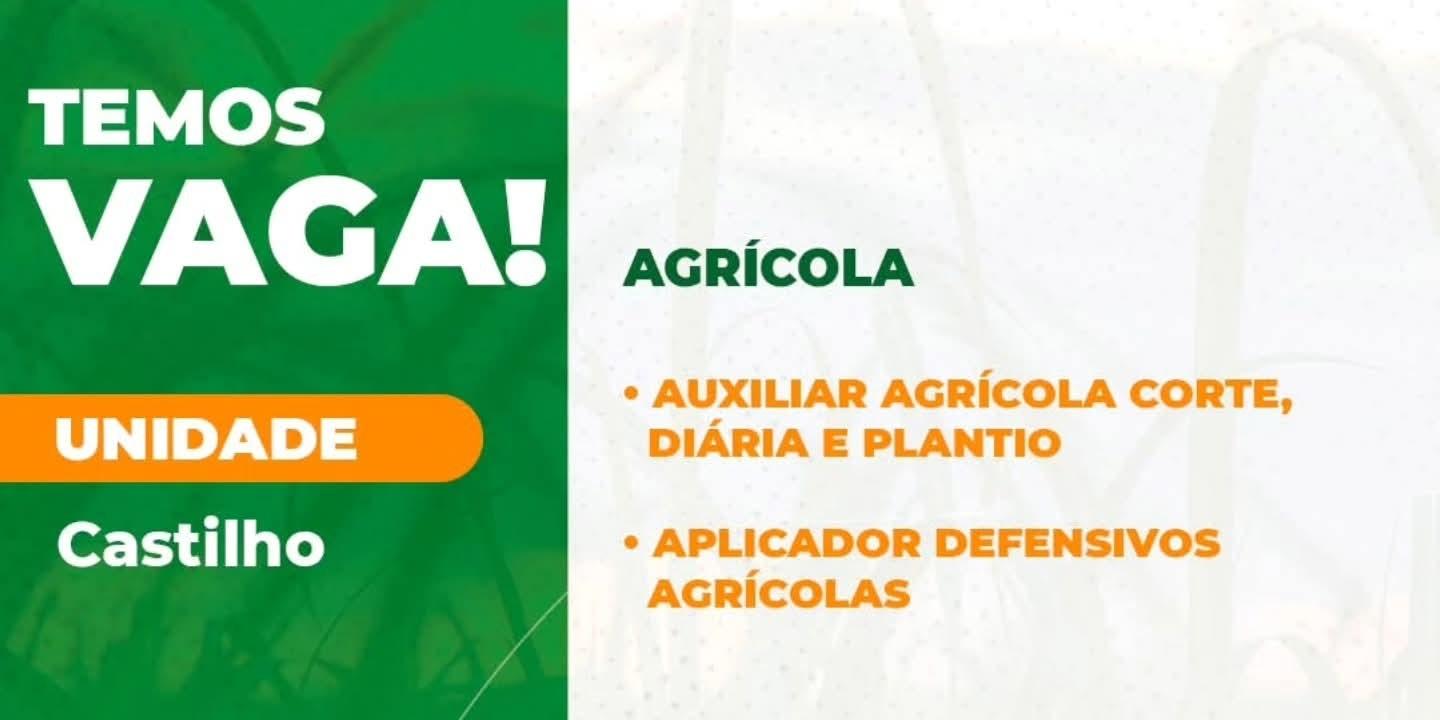 Viralcool Castilho divulga diversas vagas de emprego