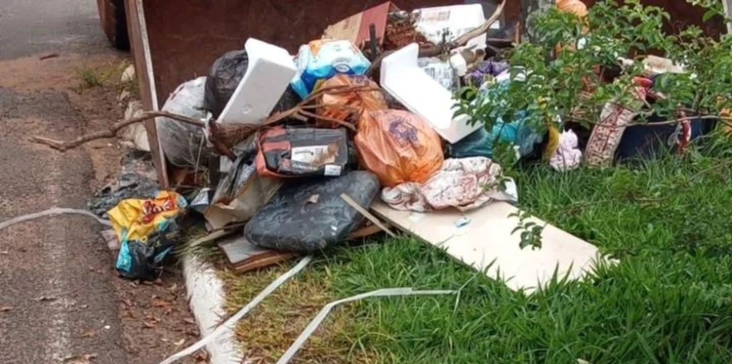 Atenção moradores de Castilho e região! Picada de escorpião é fatal: O que você precisa saber!