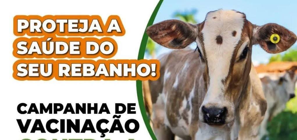 Castilho (SP) alerta pecuaristas sobre prazos das campanhas de vacinação contra Brucelose