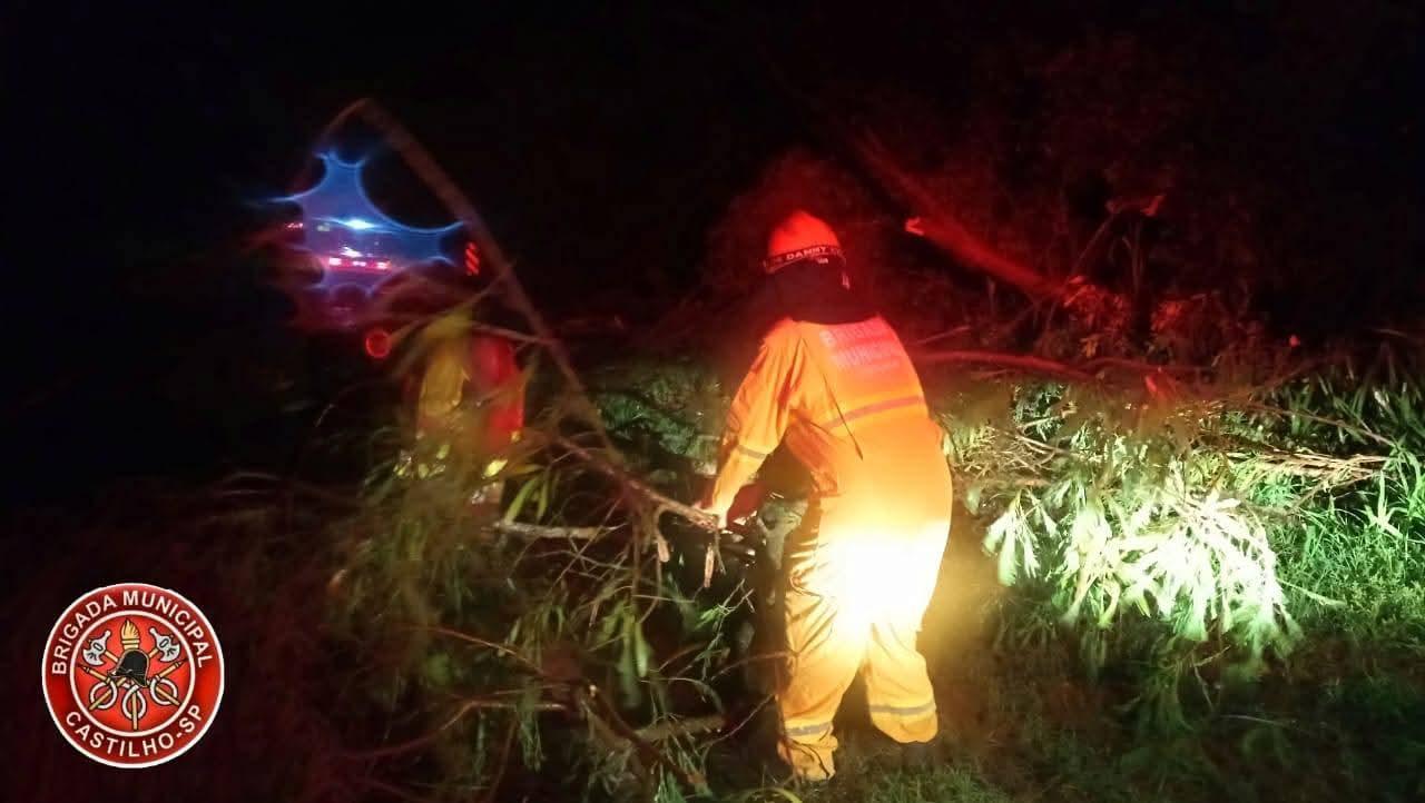 Chuva e ventos fortes provocam quedas de árvores na Rodovia dos Barrageiros (SP-595) em Castilho (SP)