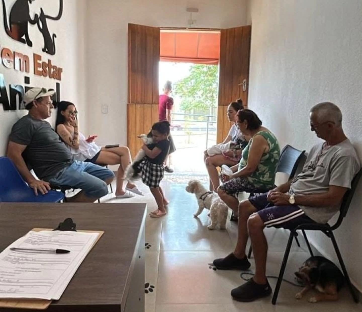 Proteção e Bem-Estar Animal divulga balanço das ações de janeiro e fevereiro em Castilho (SP)