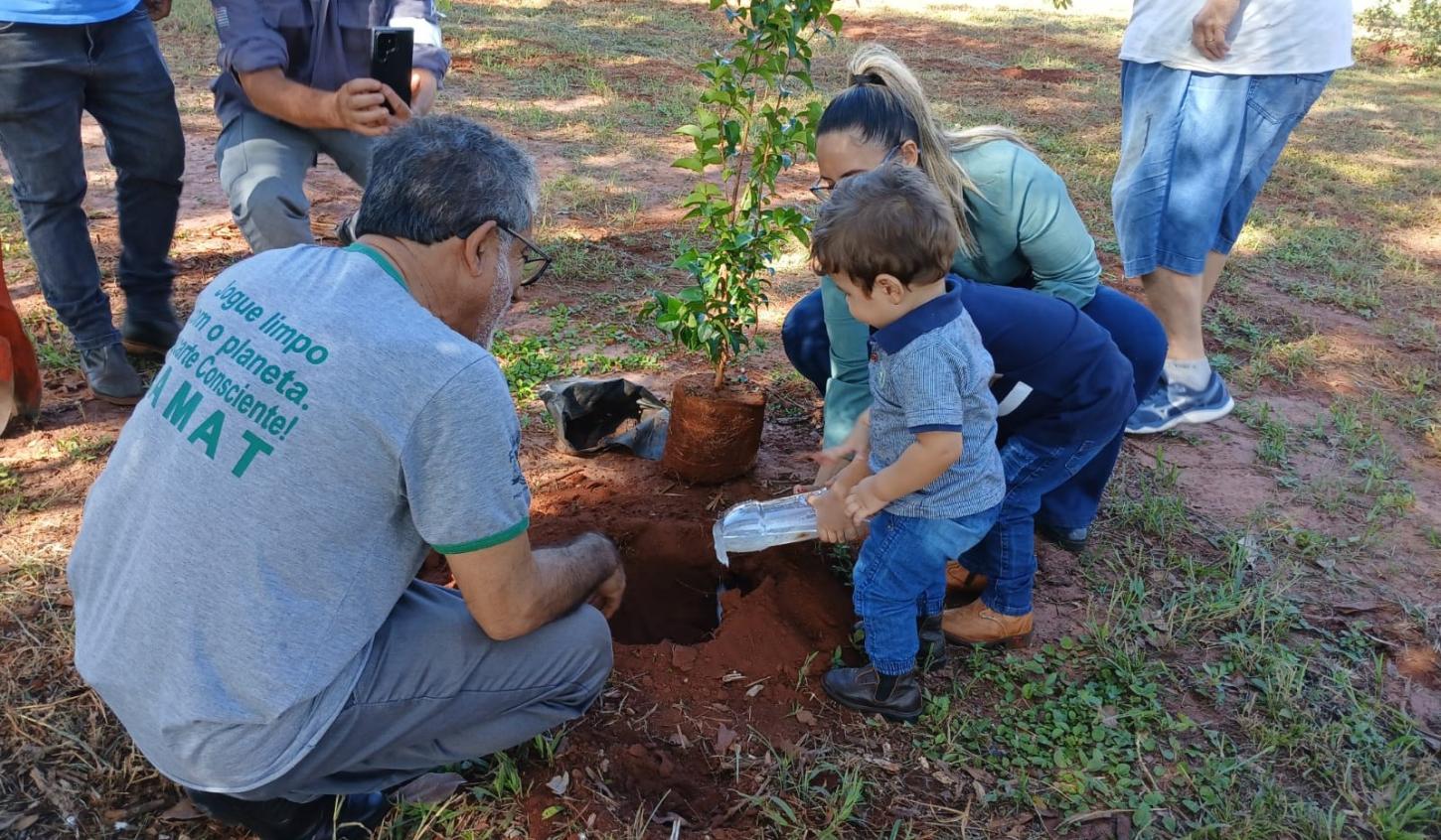 Castilho (SP) promove ação ambiental com plantio de mudas nativas no bairro Eldorado