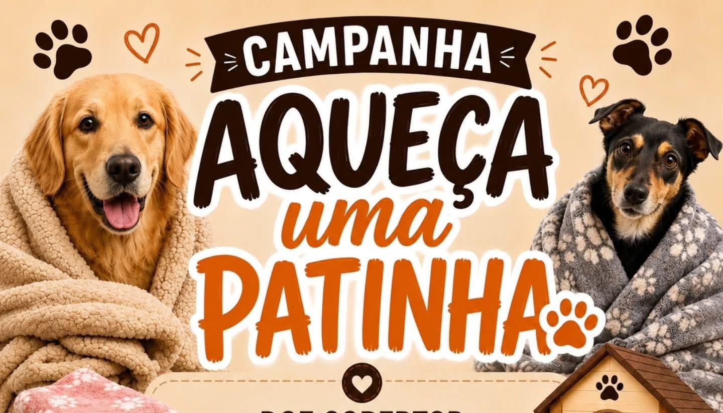 Campanha “Aqueça uma Patinha” mobiliza população em Castilho (SP) para ajudar animais no inverno