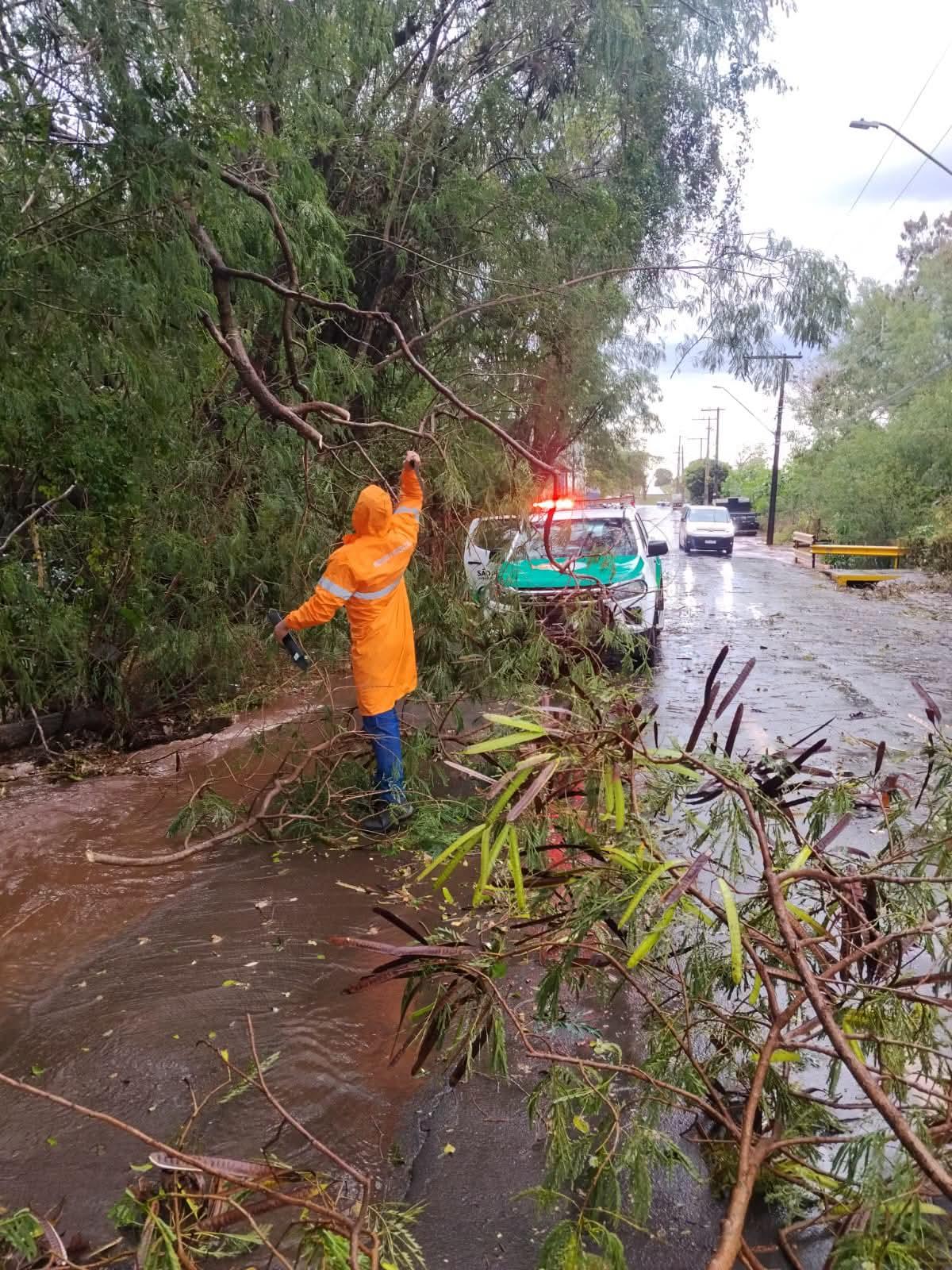 Temporal com ventos de quase 100 Km/h derruba árvores e causa danos em Andradina (SP)