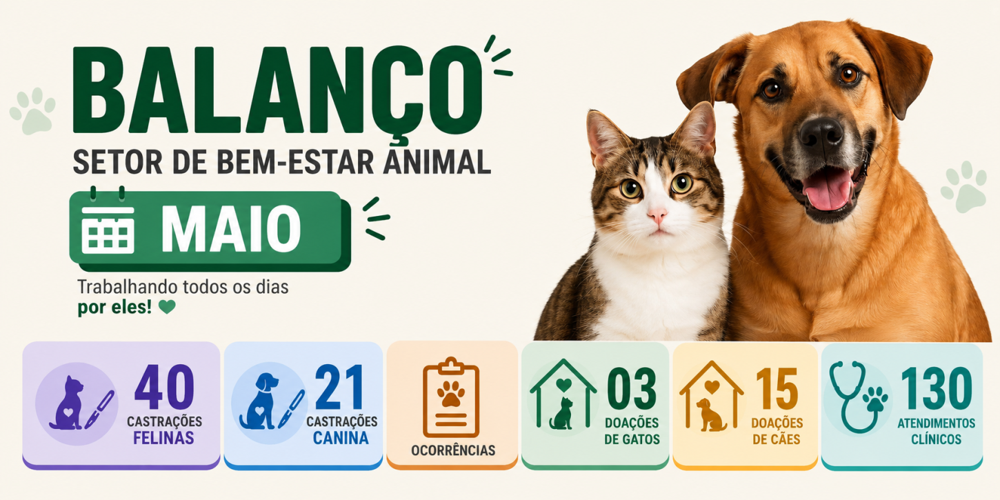 Castilho registra número expressivo de adoções e atendimentos no balanço do Bem-Estar Animal de maio