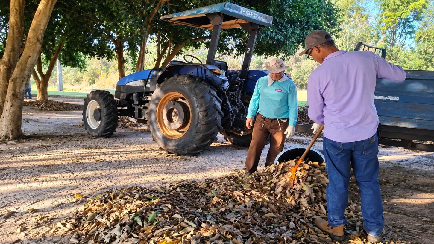 Castilho (SP) reforça cuidados com áreas verdes e espaços públicos