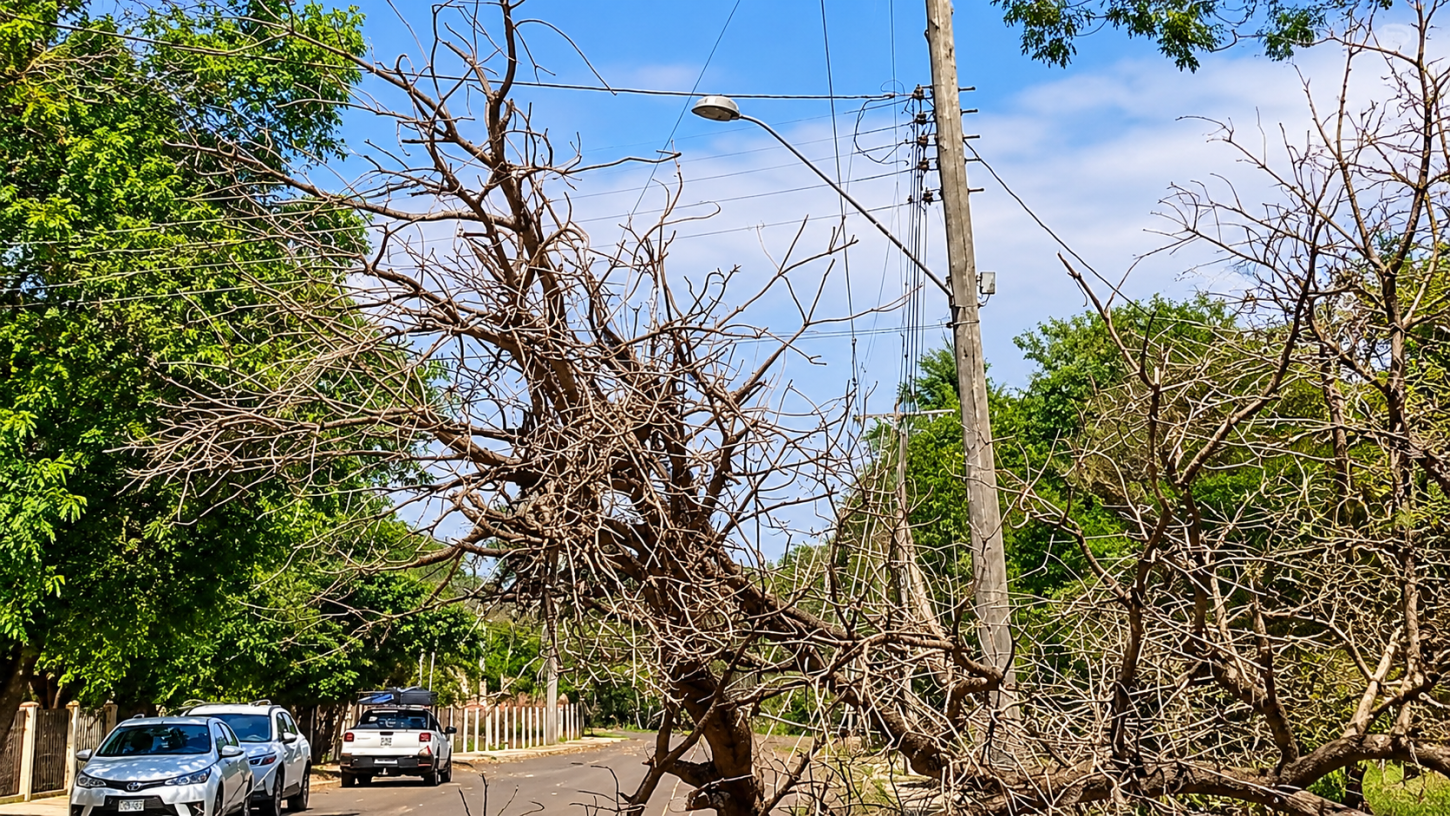 Energia e água são restabelecidas no bairro Iate Urubupungá após vendaval