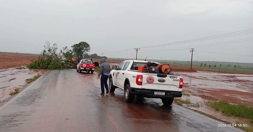 Queda de árvores mobilizaram Brigada, Defesa Civil, Neoenergia e Secretaria de Obras durante temporal em Castilho (SP)